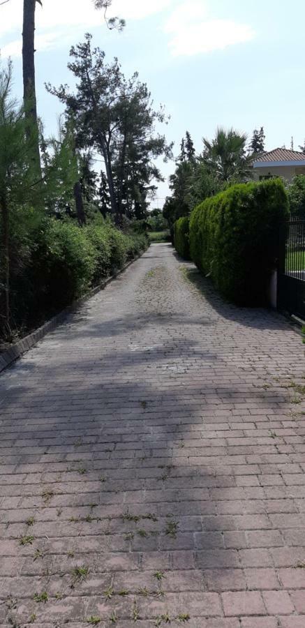 Villa-Danos Афітос Екстер'єр фото